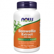 Boswellia Extract 250mg 120vcaps